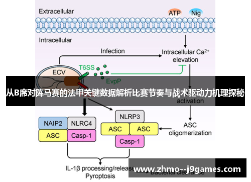 从B席对阵马赛的法甲关键数据解析比赛节奏与战术驱动力机理探秘 从B席对阵马赛的法甲关键数据解析比赛节奏与战术驱动力机理探秘