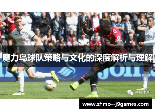 魔力鸟球队策略与文化的深度解析与理解